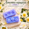 Вайнер "Лепестки нарцисса"