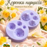Вайнер "Коронка нарцисса" Вайнер "Коронка нарцисса"
