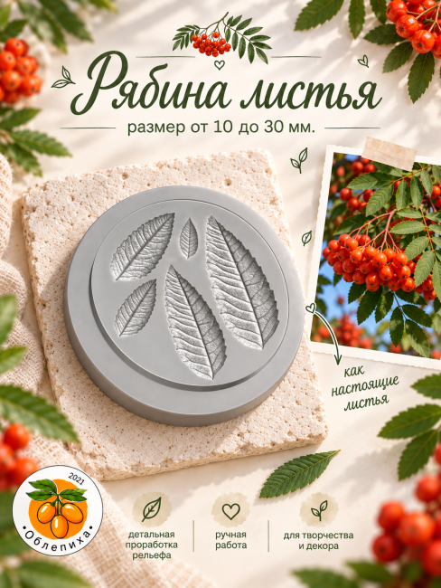 Вайнер "Лист рябины" Вайнер "Лист рябины"